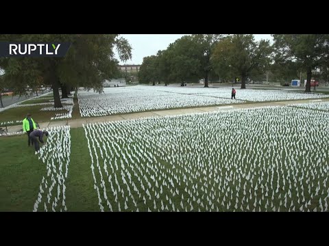 شاهد مئات الآلاف من الأعلام البيضاء في واشنطن تكريمًا لضحايا كورونا